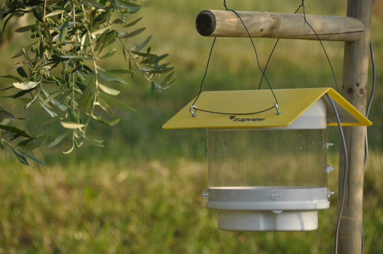 3610p19tkqtb5boglfb41php1pocj345